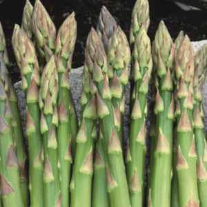 Fresh green asparagus spears tightly packed together.