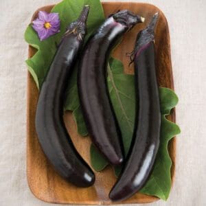 Three long purple eggplants on a wooden plate with green leaves and a purple flower.