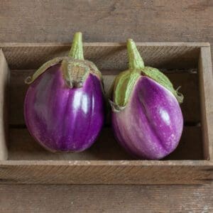 Two small round purple eggplants in a wooden box.