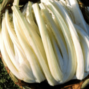 Fresh white celery stalks bundled together, showcasing their crisp texture.