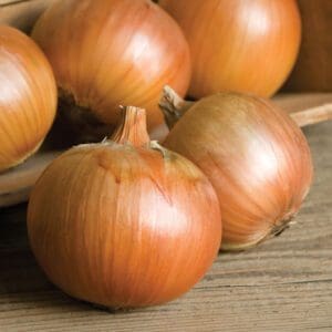 Fresh brown onions on a wooden surface.