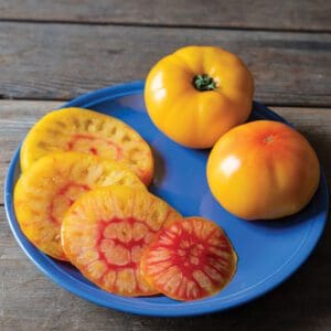 Heirloom tomatoes sliced and whole on a blue plate.