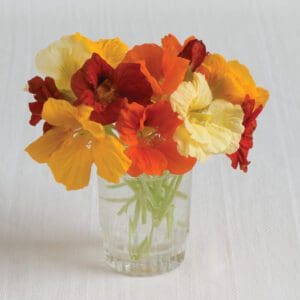 A small glass vase holding bright yellow, orange, and red nasturtium flowers.