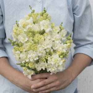 Hands holding white and green floral bouquet