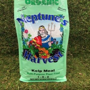 Neptune's Harvest organic kelp meal plant food