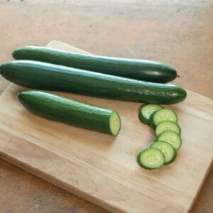 Cucumber - Long Greenhouse - Unagi (3.25" pot)