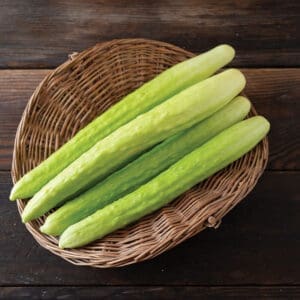 Cucumber - Margarita (3.25" pot)