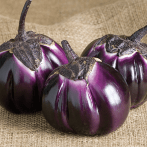 Eggplant - Sicilian (or Barbarella) Plant  (12 inch Patio Pot)