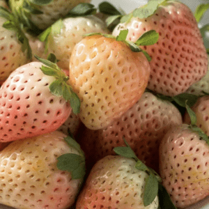Strawberry - Flamingo Light Pink (10" Hanging Basket)