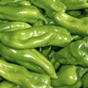 Pepper - Friggitello di Napali (3.5" pot)