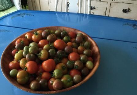 Bowl full of assorted ripe cherry tomatoes on a blue table.