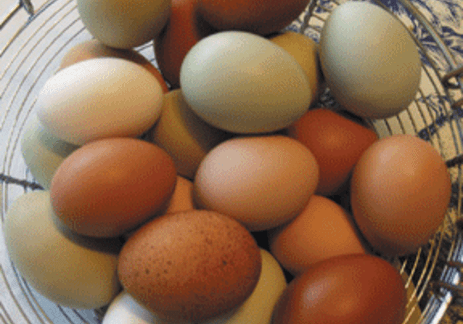 A basket filled with various brown and white eggs.